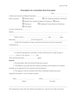 Preview of the blank official PT33 form
