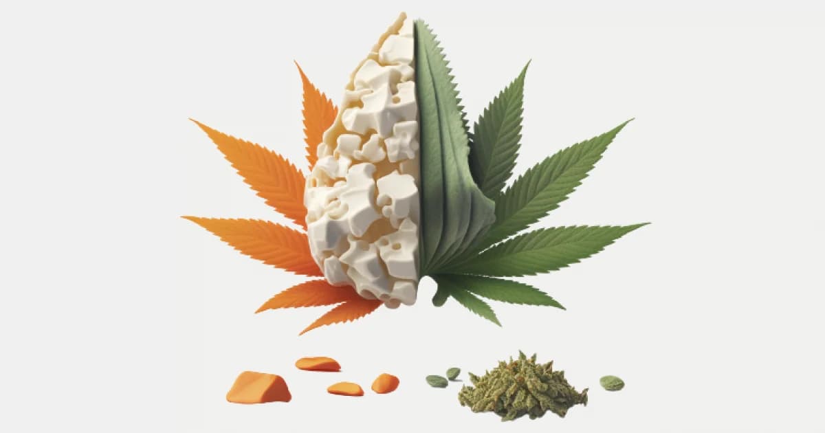 Sativa กับ Indica ต่างกันจริงไหม
